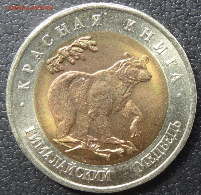 Кк 50 рублей гималайский медведь 22.00 мск, 28.04.22 - DSC02935 (2).JPG