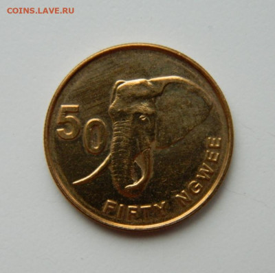 Замбия 50 нгве 2012 г. (Фауна) до 28.04.22 - DSCN4918.JPG