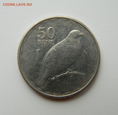Самоа 50 сене 2011 г. (Фауна) до 28.04.22 - DSCN4829.JPG