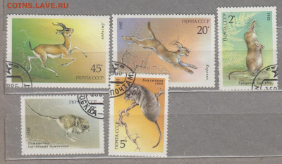 СССР 1985 Красная книга фауна 5м до 30 04 - 229