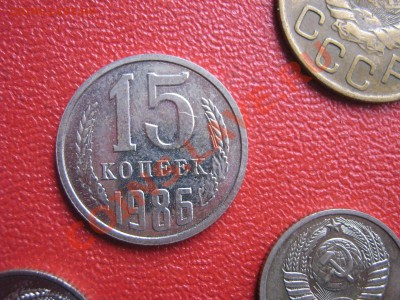 11.11 - IMG_2026