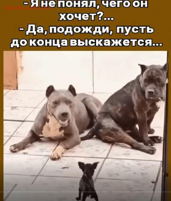 юмор - Безымянный