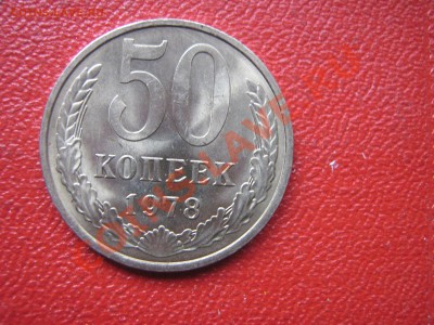 11.11 - IMG_2010