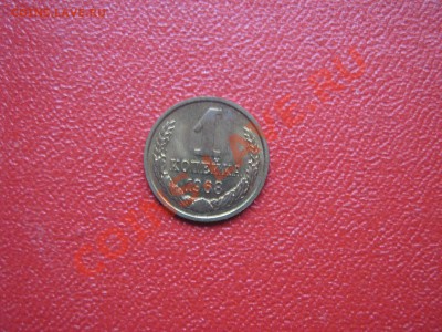 11.11.11 - IMG_1952