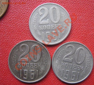 11.11 - IMG_1980