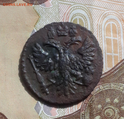Кладовая полушка 1731 года. До 1.05.22. - 20220428_101552