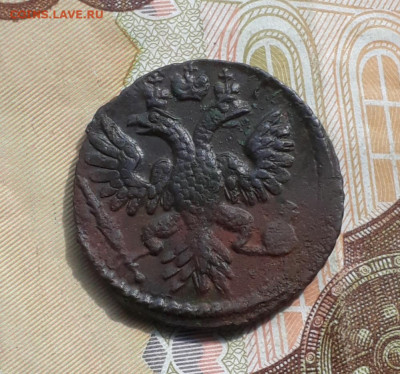 Кладовая полушка 1734 года. До 1.05.22. - 20220428_101648
