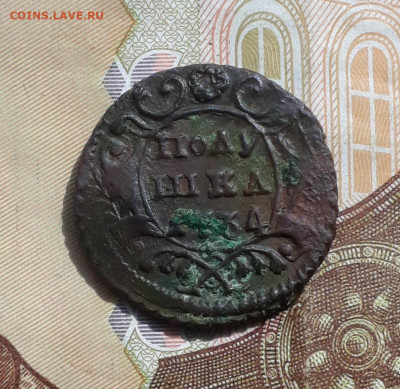 Кладовая полушка 1734 года. До 1.05.22. - 20220428_101618