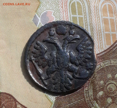 Кладовая полушка 1735 года. До 1.05.22. - 20220428_101743