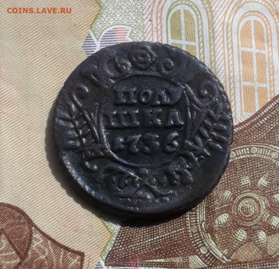 Кладовая полушка 1736 года. Большая. До 1.05.22. - 20220428_102007