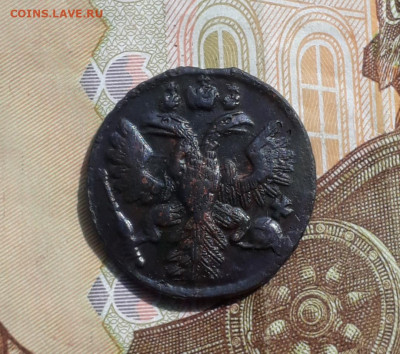 Кладовая полушка 1736 года. До 1.05.22. - 20220428_101944