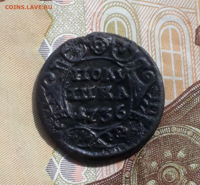 Кладовая полушка 1736 года. До 1.05.22. - 20220428_101916