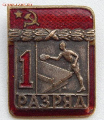 Знак 1 разряд настольный теннис ЗХЛ тяж. до 3.05.22 - DSCN6173.JPG