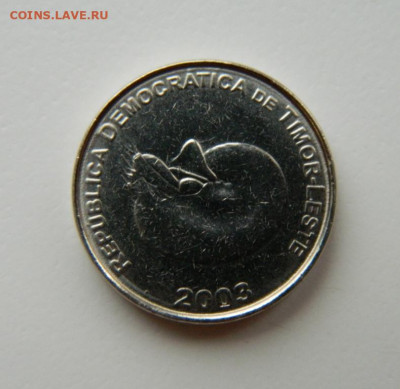 Восточный Тимор 1 сентаво 2003 г. (Фауна) до 05.05.22 - DSCN5048.JPG