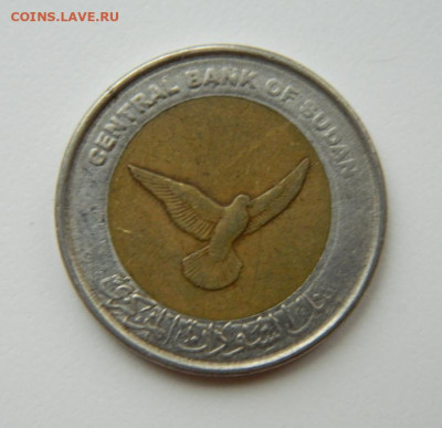 Судан 50 пиастров 2006 г. (БИМ) Фауна до 05.05.22 - DSCN5076.JPG
