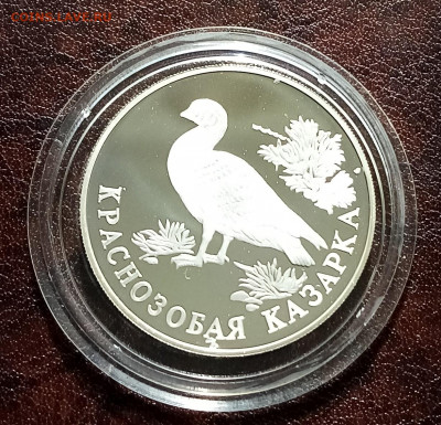 К.К. 1 руб 1994 г Краснозобая казарка до 5.05 - IMG_20220430_090232