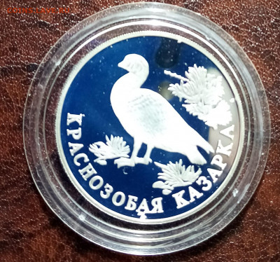 К.К. 1 руб 1994 г Краснозобая казарка до 5.05 - IMG_20220430_090225