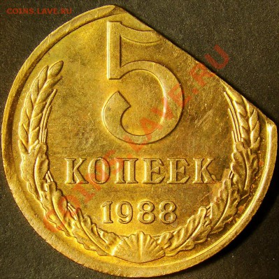 5 копеек 1988 ( край листа ) до 21.00 по мск 20.11.11 - DSC05697