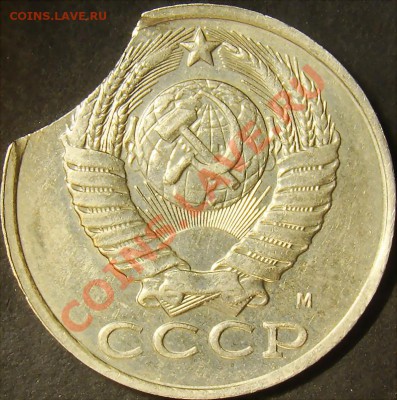 "Выкус" на 15.91М до 21.00 по мск 20.11.11 - DSC05717