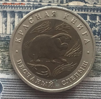 50р. 1994г. КК Песчаный слепыш до 5.05.22 в 22.22 - D88E04BC-4800-4877-884F-0203792DD67E