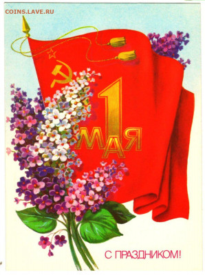 Чатик на самарском - img19987_33875