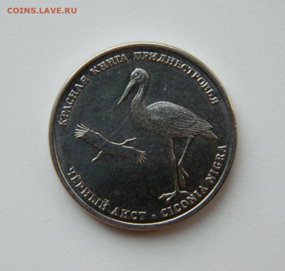 Приднестровье 1 рубль 2019 (Аист) Юбилейная до 05.05.22 - DSCN5317.JPG