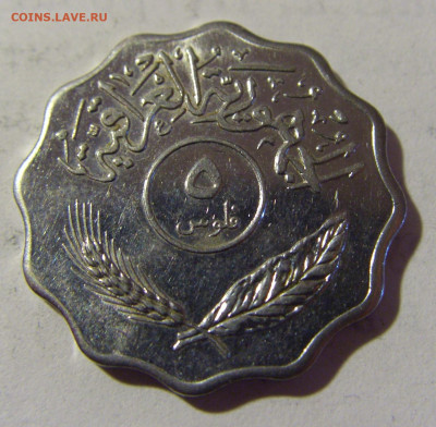 5 филс 1981 Ирак №1 08.05.2022 22:00 М - CIMG2697.JPG