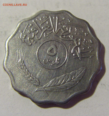 5 филс 1975 Ирак №1 08.05.2022 22:00 М - CIMG2701.JPG
