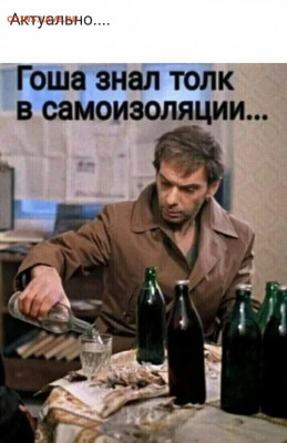 юмор - Гоша на самоизоляции