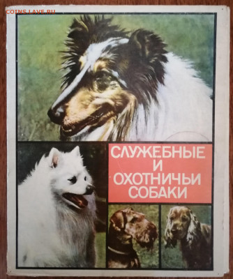 Спички "Охотничьи собаки " 05.05.2022 в 22-30 по МСК - IMG_20220502_141608