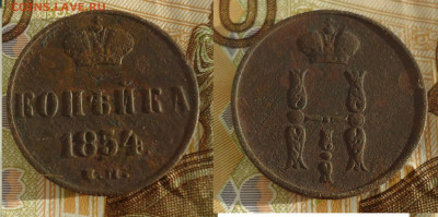 копейка 1854г кладовая не чистилась до 8.05.22г до 22-00 - DSC031010
