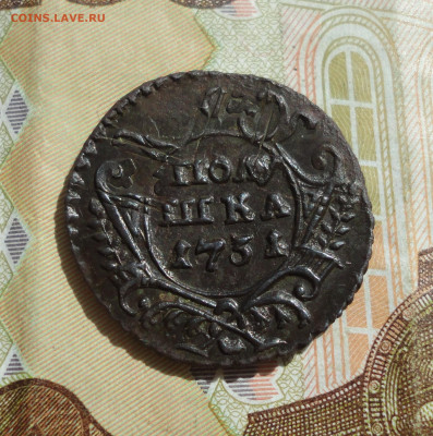 Кладовая полушка 1731 года перечекан. До 10.05.22. - DSC09844.JPG