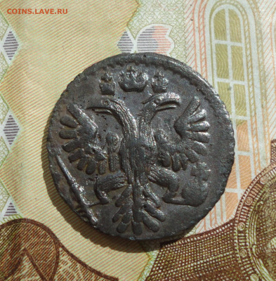 Кладовая полушка 1735 года. До 10.05.22. - DSC09856.JPG