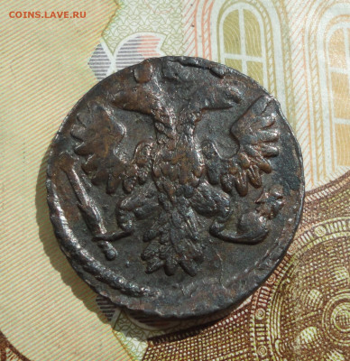Кладовая полушка 1736 года. До 10.05.22. - DSC09863.JPG