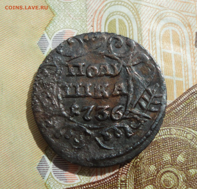 Кладовая полушка 1736 года. До 10.05.22. - DSC09860.JPG