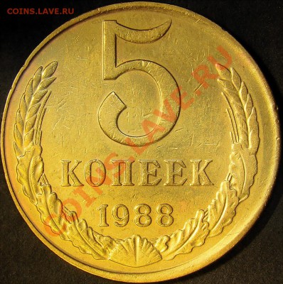 Смещение на 5.88 до 22.00 по мск 20.11.11 - DSC05720