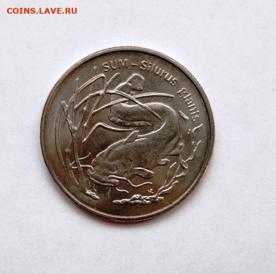 Польша 2 злотых Сом 1995 год. - сом