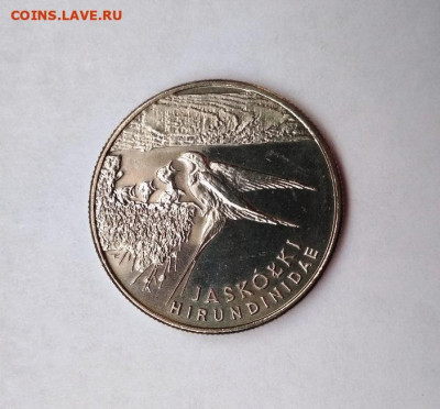 Польша 20.000 злотых 1993г.  Ласточка. - ласточка