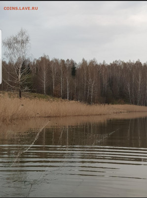 ФОТО - просто фото. Те что получились удачными. - Screenshot_20220505-174923_Gallery