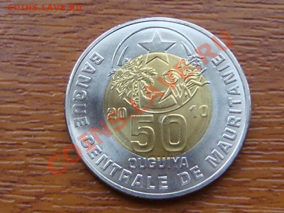 -vБ- Мавритания 50 угия 2010 бимет. до 23.11(21.00) - DSC05603.JPG
