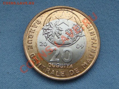 -vБ- Мавритания 20 угия 2009 бимет. до 23.11(21.00) - DSC05616.JPG