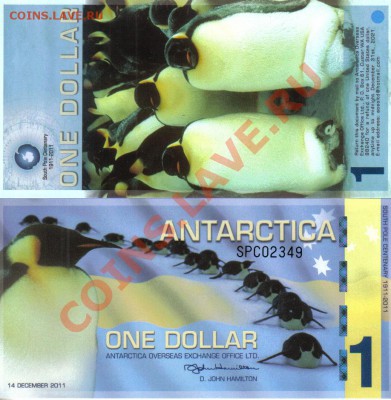 Антарктика 1 доллар 2011 пластик пресс до 21.11 21.00мск - Антарктика 1 доллар 2011