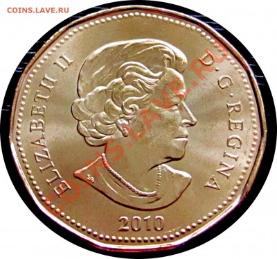E08 Канада 1$ 2010 INUKSHUK Олимп. UNC до 25.11 в 22°° - E08 INUKSHUK 2010_2