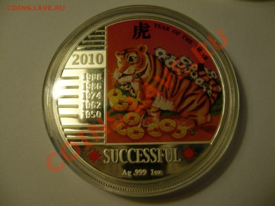 Малавийская квача с тигром, 2010 - P1060989