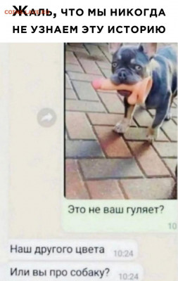 юмор - Tklr-GY_gqWsaV5pORJ3PRtylENaO5NjsE6stRM0km1gEgyMjYbd-RSuo7QPDcrhP8pUbkPlp9NKvf4yRxrqQaT8