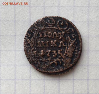 Полушка 1735 - 1.JPG