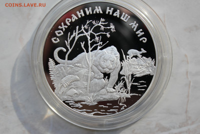 25 рублей 1996г. Сохраним наш мир. Амурский тигр - IMG_4344.JPG