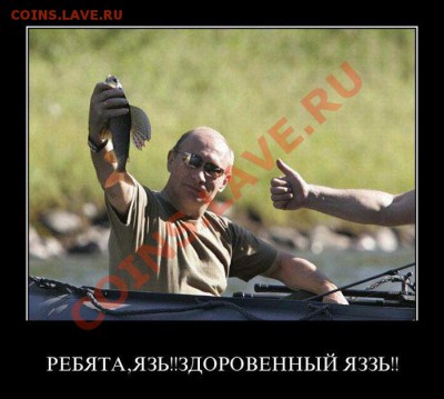 Выборы 2011 ОПРОС - 783_show