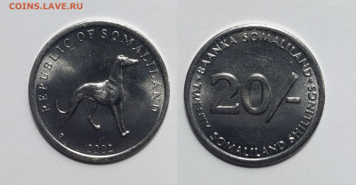 Сомалиленд 20 шиллингов 2002 г без оборота Собака - 18.05 - IMG_20220514_083052
