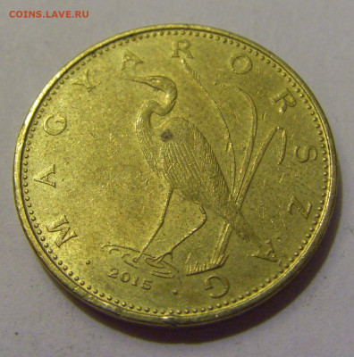 5 форинтов 2015 Венгрия №1 20.05.2022 22:00 М - CIMG5367.JPG